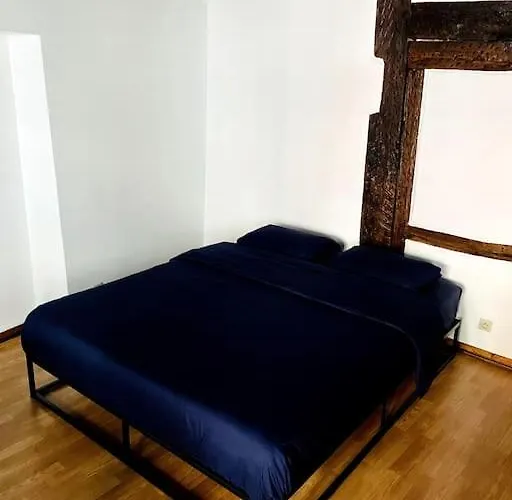 Maison A Colombages Au Coeur Du Centre Apartment Colmar